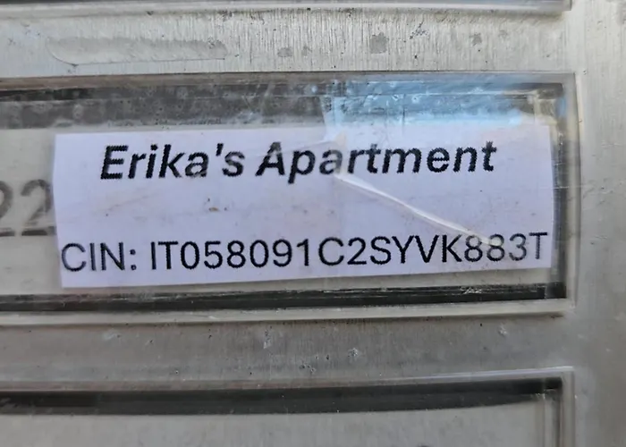 Erika's *